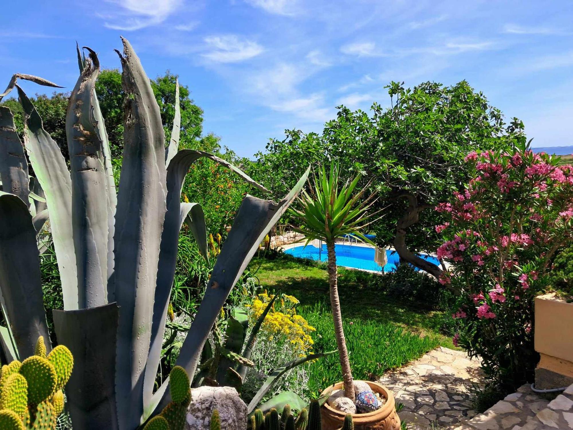 Villa Cesarica Новалья Экстерьер фото